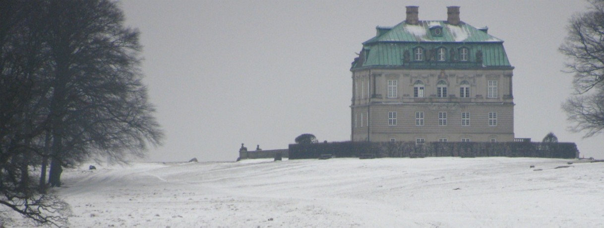 Jægersborg Deer Park by Chin Tin Tin